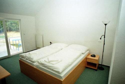 Motel Dacice Bilik gambar